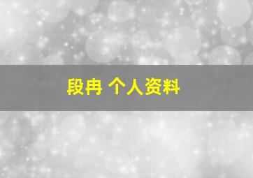 段冉 个人资料